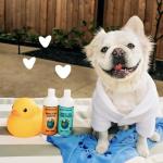 Oatmeal & Aloe Dog Shampoo and Conditioner Set