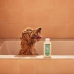 Mrs. Meyer's 3-in-1 Dog Shampoo, Chamomile 14oz