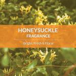 Natural Probiotic Dog Shampoo & Conditioner with Avocado