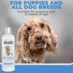 Lavender Dog Shampoo & Conditioner for Sensitive Skin
