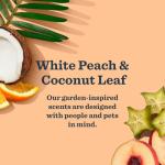 Mrs. Meyer's Dog Care Kit - White Peach & Coconut