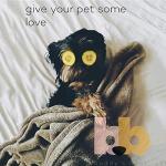 Buddy's Best Shampoo for Smelly Dogs, 16oz