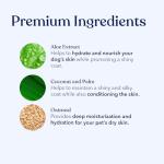 Honest Paws Oatmeal & Aloe Dog Shampoo and Conditioner