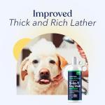 Honest Paws Oatmeal & Aloe Dog Shampoo and Conditioner