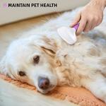 Poodle Slicker Brush for Dogs and Cats