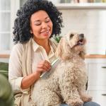 Pet Comb for Dogs and Cats – Tangle Remover