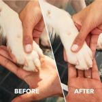 Dremel PawControl Cordless Dog Nail Grinder