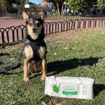 Dog Wipes for Easy Cleaning and Deodorizing