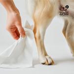 Hypoallergenic Dog Wipes 100 Count - Fragrance Free