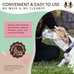 Natural Dog Company Hypoallergenic Grooming Wipes - 50 Count