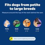 PetSafe Martingale No Pull Dog Collar - Red