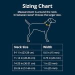 Ruffwear Ultralight Reflective Dog Collar - Lichen Green