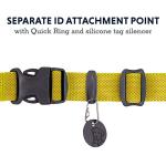 Ruffwear Ultralight Reflective Dog Collar - Lichen Green