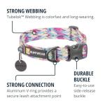 Ruffwear Front Range Adjustable Dog Collar, Spring Fade