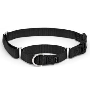 PetSafe Adjustable No-Slip Martingale Dog Collar