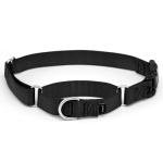 PetSafe Adjustable No-Slip Martingale Dog Collar