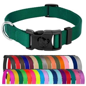 Everyday Nylon Dog Collar in 15 Colors