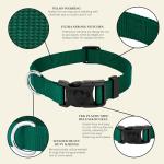 Everyday Nylon Dog Collar in 15 Colors