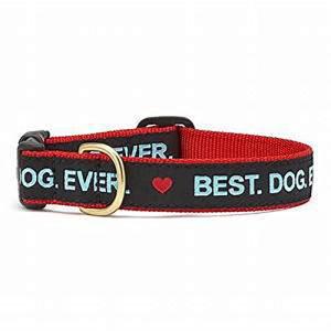 Up Country Best Dog Ever Collar - Large 1