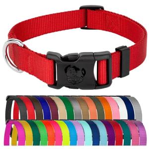 Bright Red Nylon Dog Collar for All Sizes