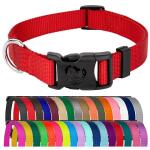 Bright Red Nylon Dog Collar for All Sizes