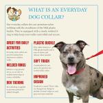 Bright Red Nylon Dog Collar for All Sizes