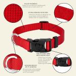 Bright Red Nylon Dog Collar for All Sizes
