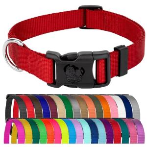 Everyday Nylon Dog Collar in Red for All Sizes