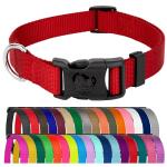 Everyday Nylon Dog Collar in Red for All Sizes