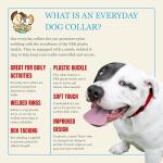 Everyday Nylon Dog Collar in Red for All Sizes