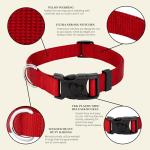 Everyday Nylon Dog Collar in Red for All Sizes