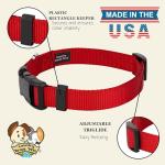Everyday Nylon Dog Collar in Red for All Sizes