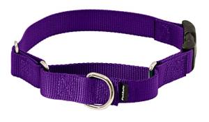 PetSafe Adjustable No-Slip Martingale Dog Collar