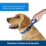 PetSafe Adjustable No-Slip Martingale Dog Collar