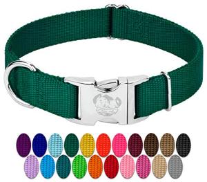 Premium Nylon Dog Collar with Metal Buckle – Green