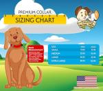 Premium Nylon Dog Collar with Metal Buckle – Green