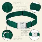 Premium Nylon Dog Collar with Metal Buckle – Green