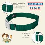 Premium Nylon Dog Collar with Metal Buckle – Green