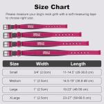 Custom Name Dog Collar with Durable Metal Buckle