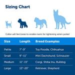 PetSafe Adjustable Martingale Collar - Small Red