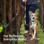 Ruffwear Adventure Dog Collar with Reflective Design