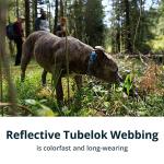 Ruffwear Adventure Dog Collar with Reflective Design