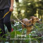 Ruffwear Adventure Dog Collar with Reflective Design