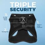 All Weather No-Pull Harness for Dogs & Cats