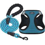 Breathable Step-In Dog Harness for Small Dogs