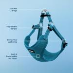 Voyager Mesh Dog Harness - Adjustable & Durable