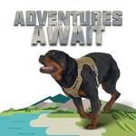 Auroth Adjustable Tactical Dog Harness for Large Dogs