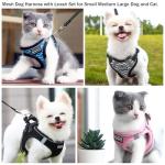 Adjustable No-Pull Dog Harness and Leash Set