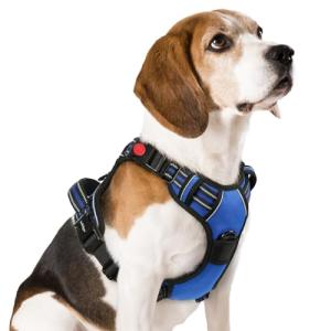 Rabbitgoo Medium Dog Harness, No Pull, Adjustable, Blue
