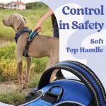 Rabbitgoo Medium Dog Harness, No Pull, Adjustable, Blue